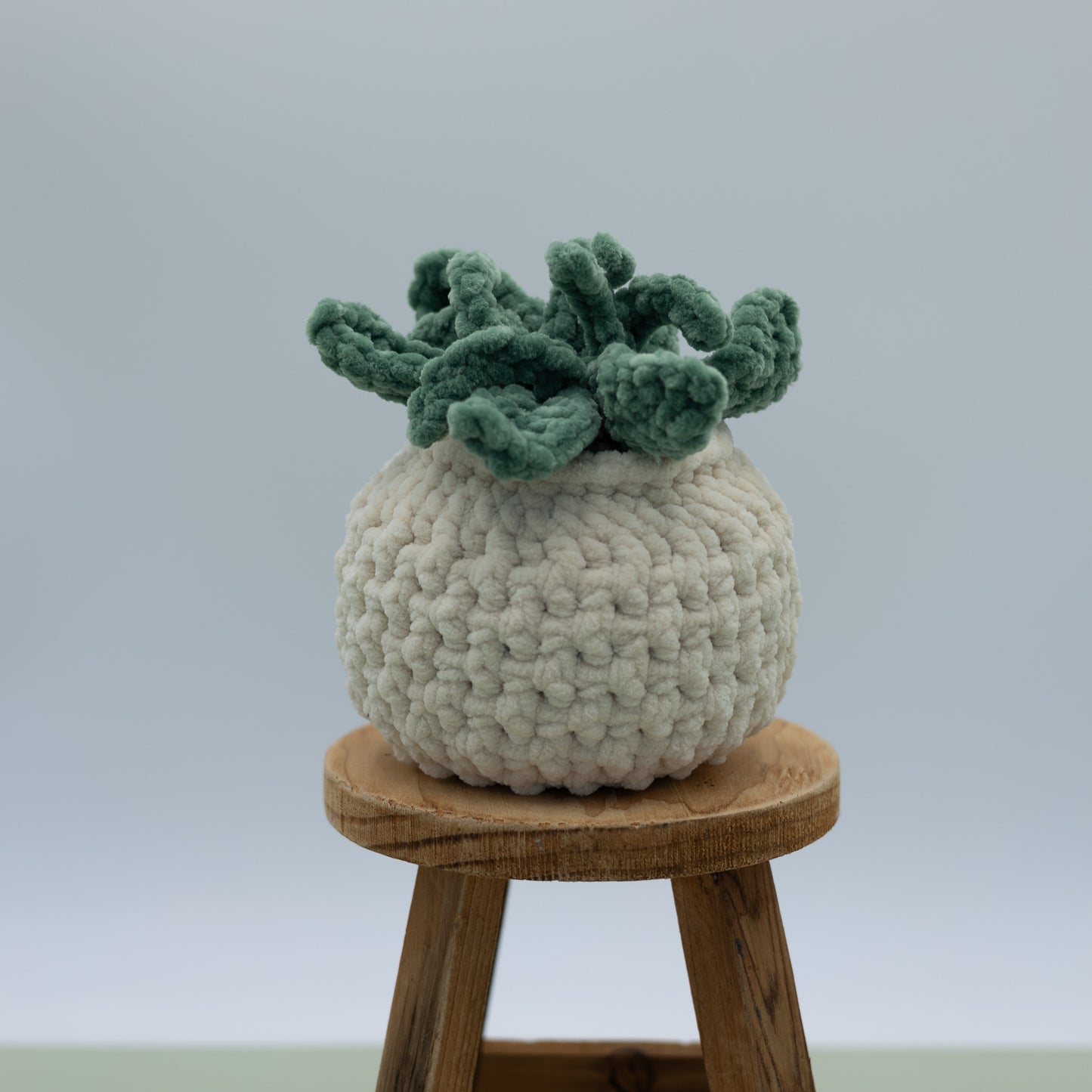 Table Plant Crochet Plush